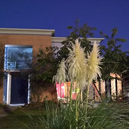 Bambou & Olivier Chambres Roubaix Bagian luar foto
